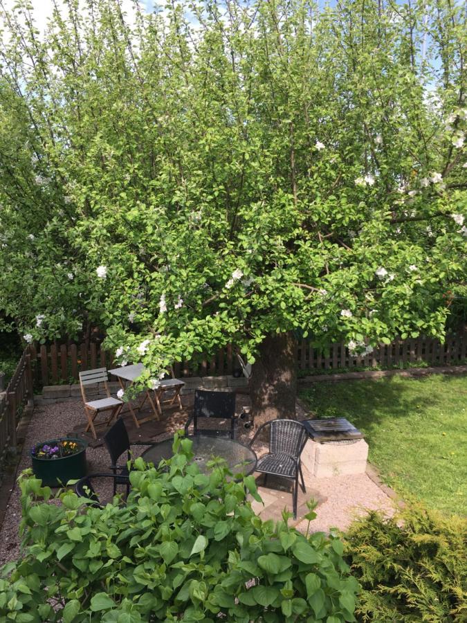 Vivans Bed And Self Catering Кристианстад Экстерьер фото